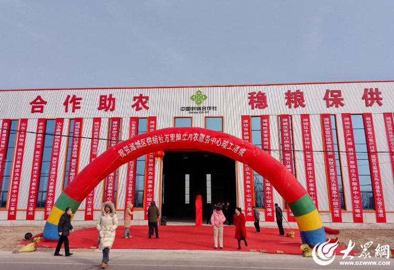 千成供销如何在竞争激烈的市场中脱颖而出？
